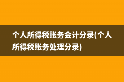 个人所得税账务会计分录(个人所得税账务处理分录)