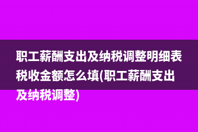 职工薪酬支出及纳税调整明细表税收金额怎么填(职工薪酬支出及纳税调整)