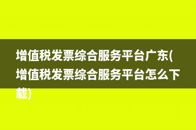 海南增值税发票综合服务平台(海南增值税发票图片)