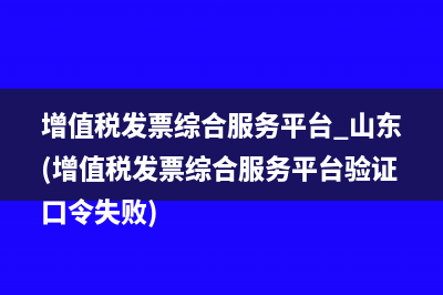 增值税发票综合服务平台 山东(增值税发票综合服务平台验证口令失败)