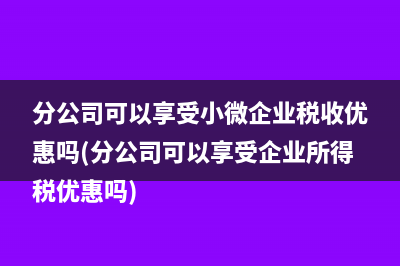 分公司可以享受小微企业税收优惠吗(分公司可以享受企业所得税优惠吗)