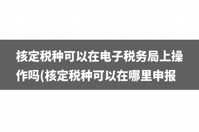 核定税种可以在电子税务局上操作吗(核定税种可以在哪里申报)