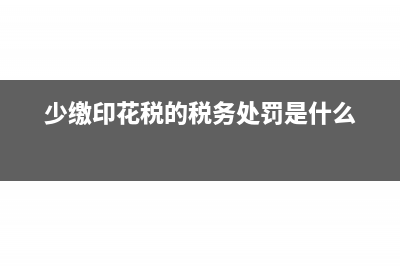 所得税汇算清缴年报在哪填写(所得税汇算清缴表在哪里打印)