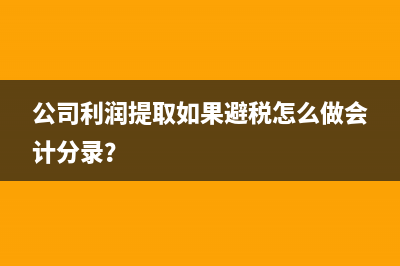 公司利润提取如果避税怎么做会计分录？