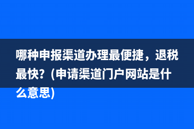 哪种申报渠道办理最便捷，退税最快？(申请渠道门户网站是什么意思)