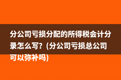 分公司亏损分配的所得税会计分录怎么写？(分公司亏损总公司可以弥补吗)