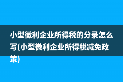 小型微利企业所得税的分录怎么写(小型微利企业所得税减免政策)