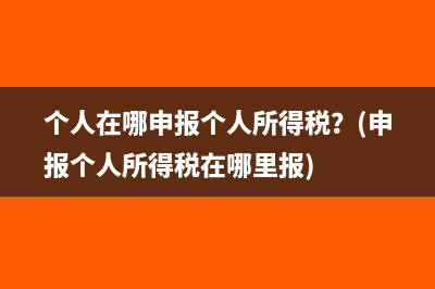 个人在哪申报个人所得税？(申报个人所得税在哪里报)
