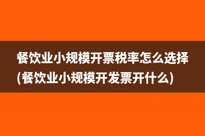 企业所得税纳税调整的事项有哪些(企业所得税纳税义务人)