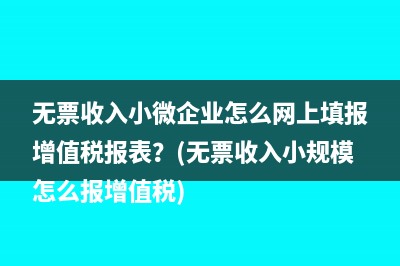 无票收入小微企业怎么网上填报增值税报表？(无票收入小规模怎么报增值税)
