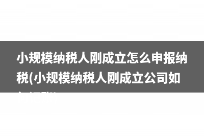 小规模纳税人刚成立怎么申报纳税(小规模纳税人刚成立公司如何记账)