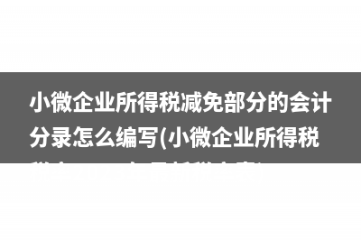 小微企业所得税减免部分的会计分录怎么编写(小微企业所得税税率2023年最新税率表)