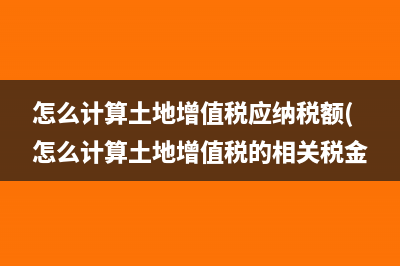 在什么情况下纳税人可申请办理延期申报？(什么情况下纳税人和负税人一致)