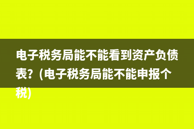 电子税务局能不能看到资产负债表？(电子税务局能不能申报个税)