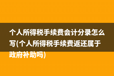 个人所得税手续费会计分录怎么写(个人所得税手续费返还属于政府补助吗)