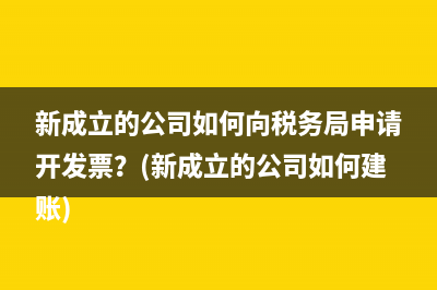 新成立的公司如何向税务局申请开发票？(新成立的公司如何建账)