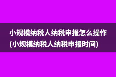 小规模纳税人纳税申报怎么操作(小规模纳税人纳税申报时间)