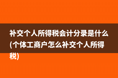 补交个人所得税会计分录是什么(个体工商户怎么补交个人所得税)