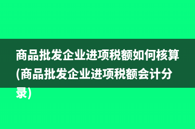 商品批发企业进项税额如何核算(商品批发企业进项税额会计分录)