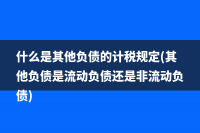什么是其他负债的计税规定(其他负债是流动负债还是非流动负债)