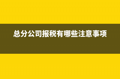 总分公司报税有哪些注意事项