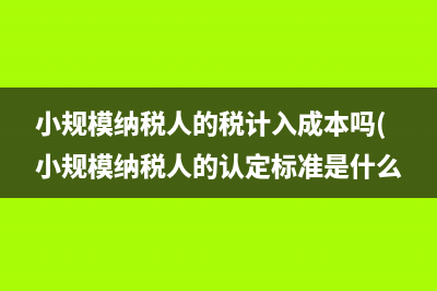 小规模纳税人的税计入成本吗(小规模纳税人的认定标准是什么)