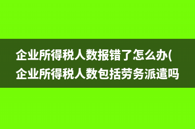 企业所得税人数报错了怎么办(企业所得税人数包括劳务派遣吗)
