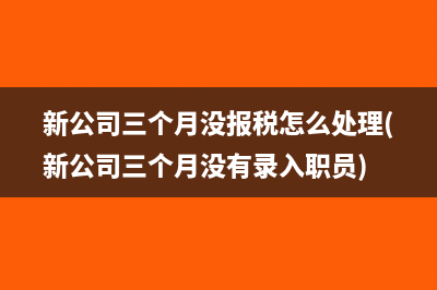 新公司三个月没报税怎么处理(新公司三个月没有录入职员)