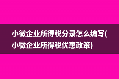 小微企业所得税分录怎么编写(小微企业所得税优惠政策)