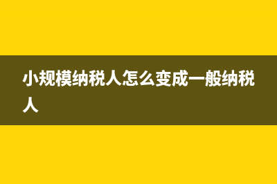 小规模纳税人怎么做账(小规模纳税人怎么变成一般纳税人)