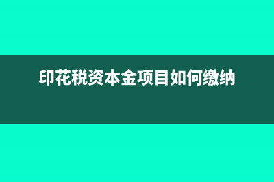 印花税可以资本化吗(印花税资本金项目如何缴纳)