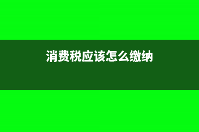 消费税应该怎么入账(消费税应该怎么缴纳)