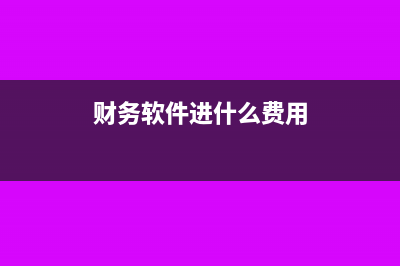 财务软件税点多少(财务软件进什么费用)