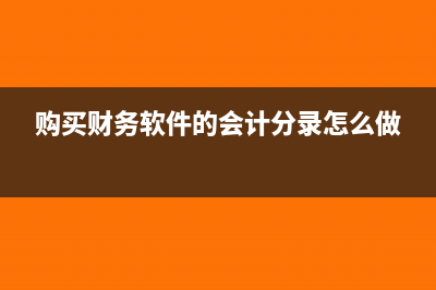 购买财务软件的进项税是多少(购买财务软件的会计分录怎么做)