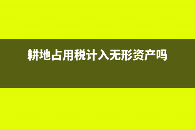耕地占用税计入什么科目?(耕地占用税计入无形资产吗)