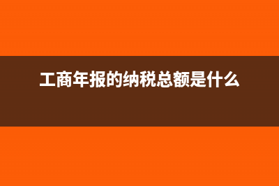 工商年报里的纳税总额指的是什么?(工商年报的纳税总额是什么)