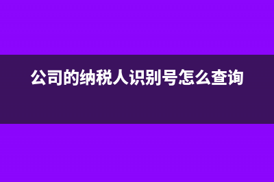 公司的纳税人识别号怎么查询?(公司的纳税人识别号怎么查询)