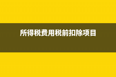 所得税费用税前列支?(所得税费用税前扣除项目)