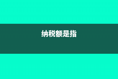 纳税额是什么意思?(纳税额是指)