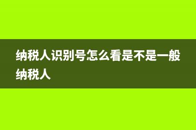 纳税人识别号怎么查?(纳税人识别号怎么看是不是一般纳税人)