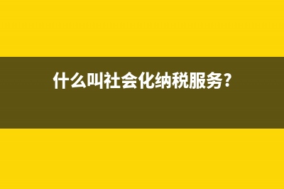 什么叫社会化纳税服务?