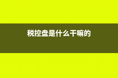 税控盘是什么?(税控盘是什么干嘛的)