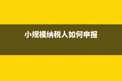 小规模纳税人如何交企业所得税?(小规模纳税人如何申报)