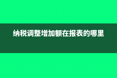 纳税调整增加额是什么意思?(纳税调整增加额在报表的哪里)