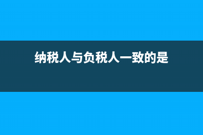 纳税人与负税人是什么?(纳税人与负税人一致的是)