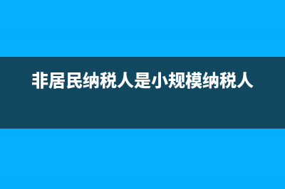 非居民纳税人是什么?(非居民纳税人是小规模纳税人)