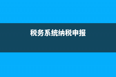 纳税申报系统是什么?(税务系统纳税申报)