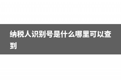 纳税人识别号是什么?(纳税人识别号是什么哪里可以查到)