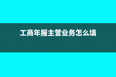 工商年审主营业务收入和其他主营业务收入怎么填(工商年报主营业务怎么填)