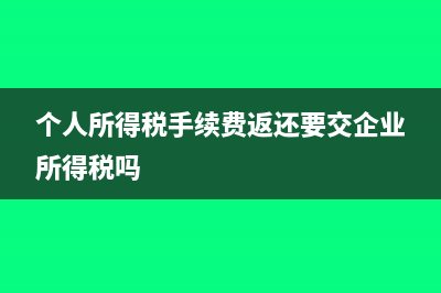 个人所得税手续费按多少计提销项税?(个人所得税手续费返还要交企业所得税吗)